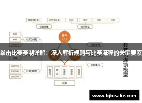 拳击比赛赛制详解：深入解析规则与比赛流程的关键要素